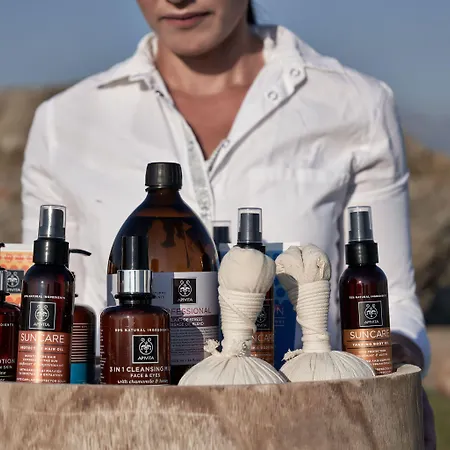 מלון דירות Aeolis Boutique 3*